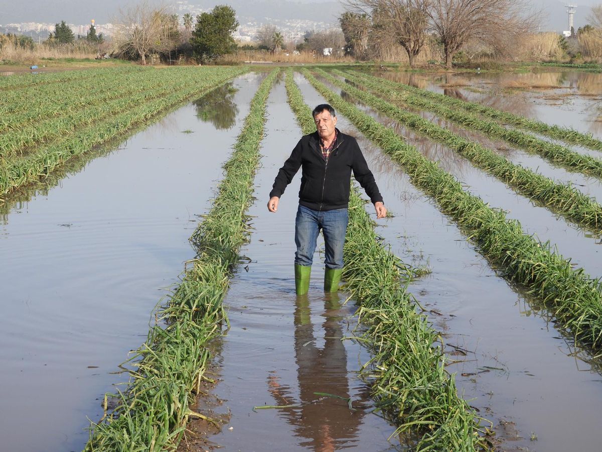 Agricultors del delta del Llobregat alerten que l’ampliació de la zona de protecció d’aus podria acabar amb la producció agrària en cinc anys Agricultors del delta del Llobregat alerten que l’ampliació de la zona de protecció d’aus podria acabar amb la producció agrària en cinc anys