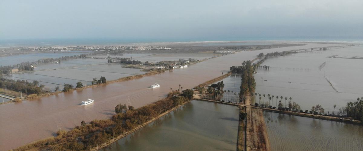 Las heridas de la crisis climática en España Las heridas de la crisis climática en España