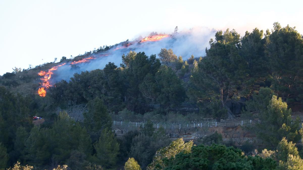 Un incendi forestal a la Selva del Camp, a Tarragona, mobilitza gairebé 40 dotacions de bombers