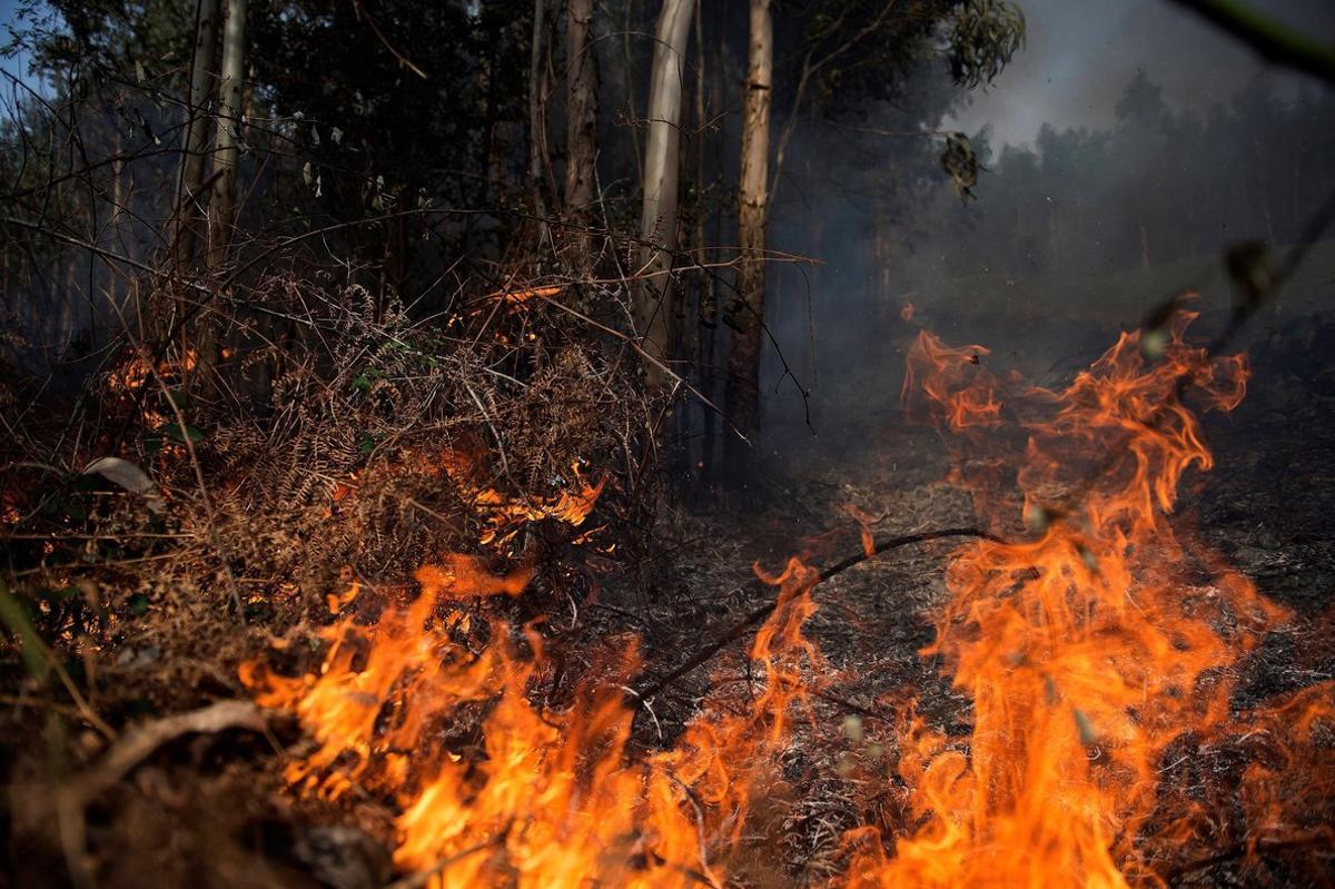 Aumenta el riesgo de incendios forestales este verano. Aumenta el riesgo de incendios forestales este verano.