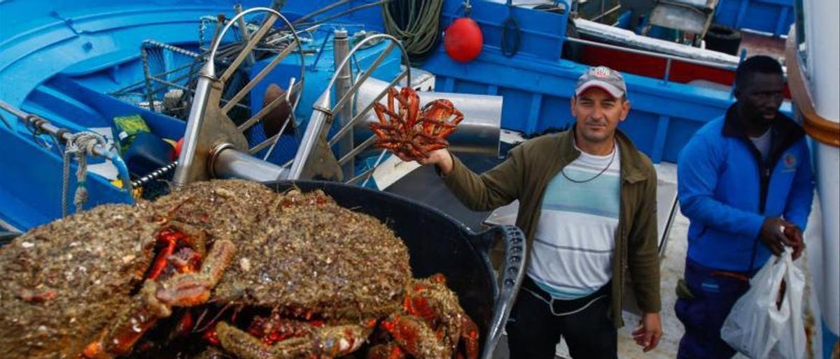 El marisco gallego se encarece un 33% para las comidas navideñas