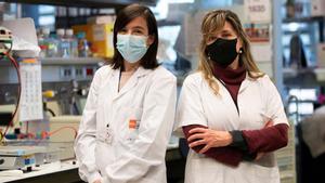Declaraciones de las investigadoras del IMIM Neus Martínez-Bosch y Pilar Navarro, tras anunciarse que investigadores de su centro han hallado un nuevo marcador diagnóstico del cáncer de páncreas, que podría detectarse en sus estadios iniciales con un análisis de sangre. 