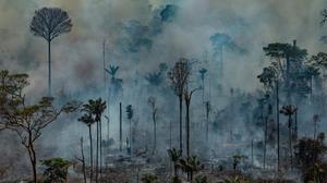 Viaje al kilómetro cero de la destrucción de la Amazonía