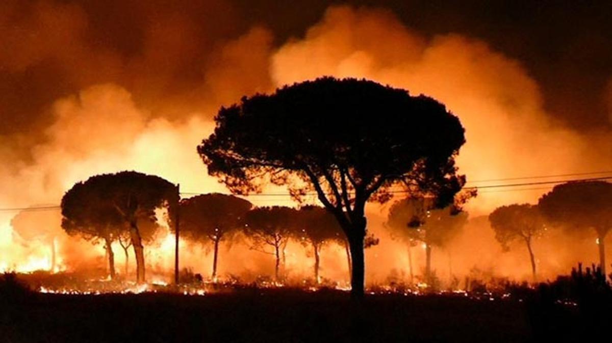 El incendio declarado anoche en el paraje La Peñuela de Moguer (Huelva) ha entrado en el Espacio Natural de Doñana.