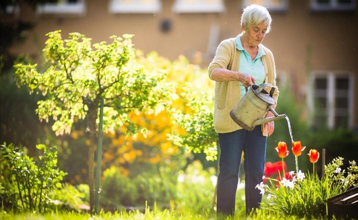Una señora riega las plantas del jardín. Una señora riega las plantas del jardín.