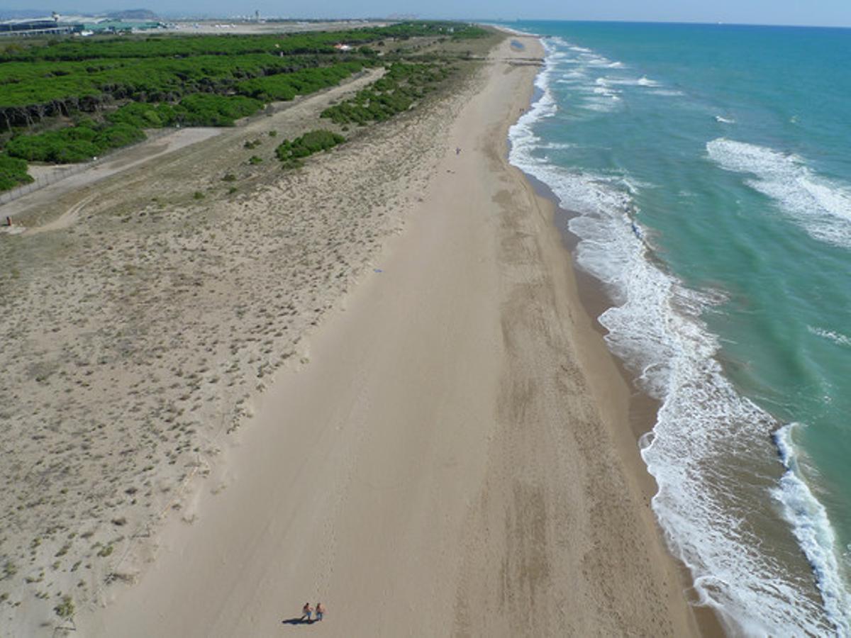 Las playas de Viladecans reciben también la distinción de ‘playas vírgenes’