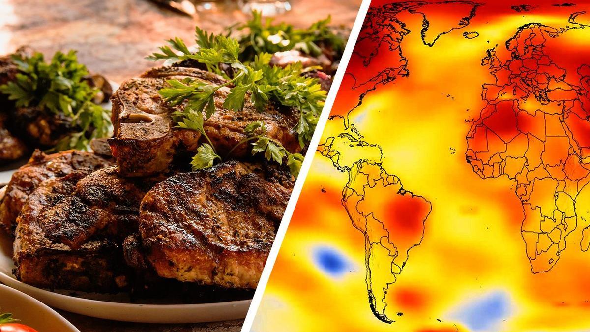 La ONU pide comer menos carne contra la crisis climática