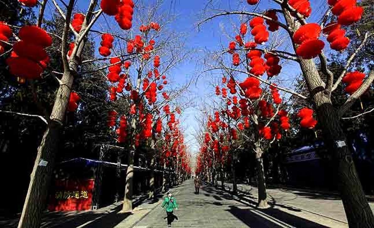 Una muchacha camina a lo largo de una calle donde los árboles están decorados con linternas rojas por motivo de las celebraciones del Año Nuevo Lunar, en el Parque Ditan de Beijing (China).