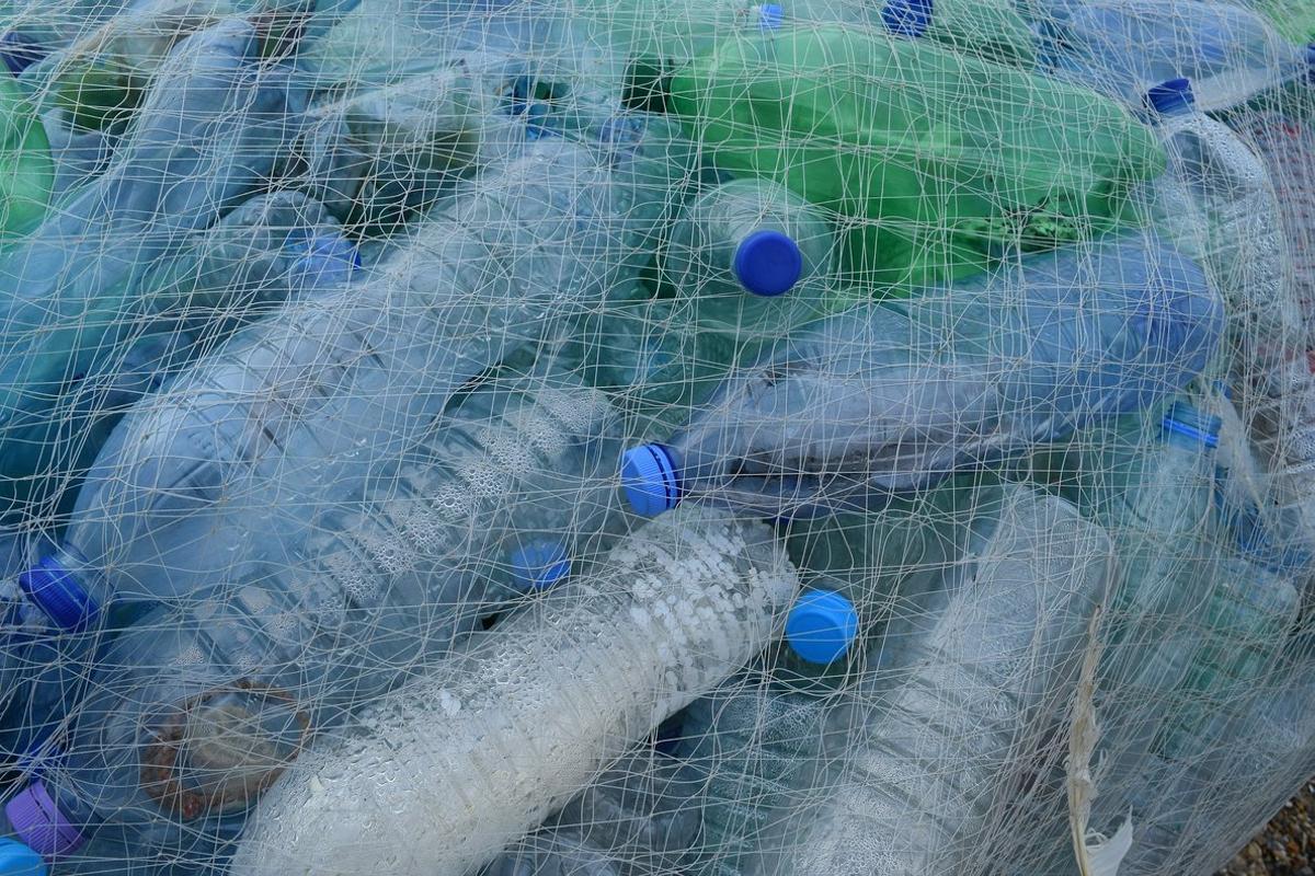 Go Zero Waste App: "Vivir totalmente sin plástico es casi imposible en el mundo actual"
