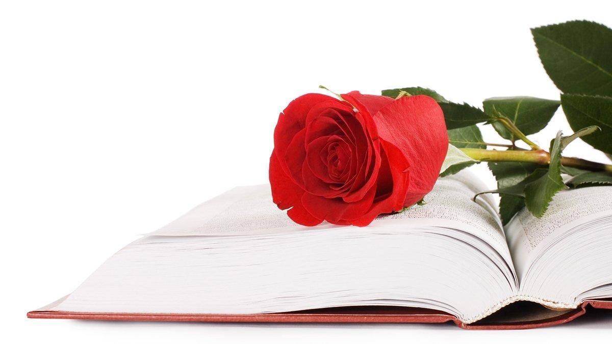Un libro y una rosa, los dos símbolos del día de Sant Jordi