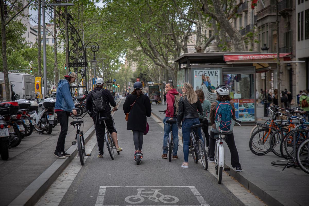Bicicletas, en el lateral de paseo de Gràcia, poco antes de llegar a plaza de Catalunya, este miércoles