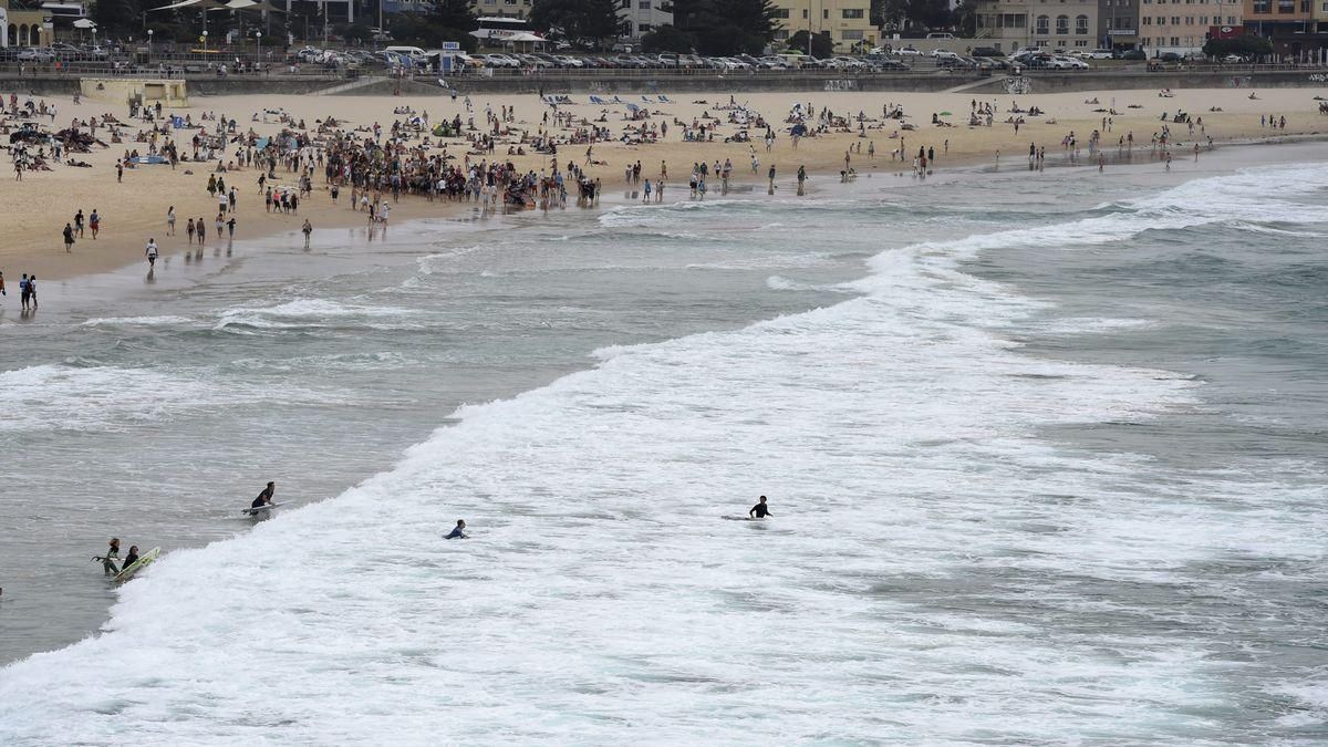 Nadadores son evacuados del agua en la playa Bondi en Sídney (Australia) después de que un helicóptero de la policía avistase un tiburón cerca de la orilla. Nadadores son evacuados del agua en la playa Bondi en Sídney (Australia) después de que un helicóptero de la policía avistase un tiburón cerca de la orilla.