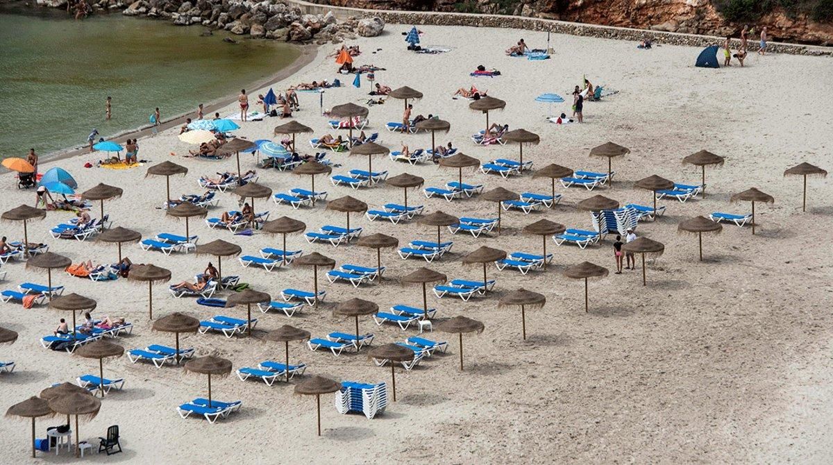 De formigues i cuques De formigues i cuques