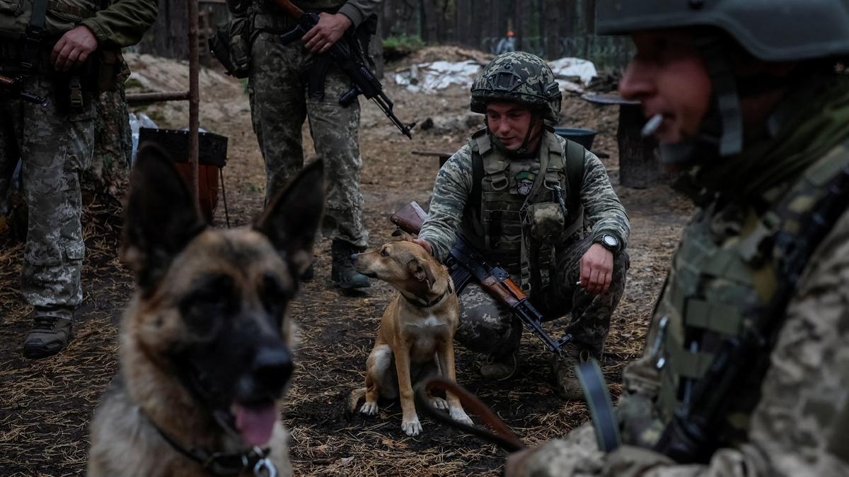 Guerre Russie – Ukraine, EN DIRECT : Dernières actualités sur le conflit en Europe de l’Est