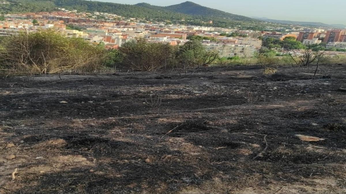 Zona de sotobosque afectada por el incendio en Sant Boi 