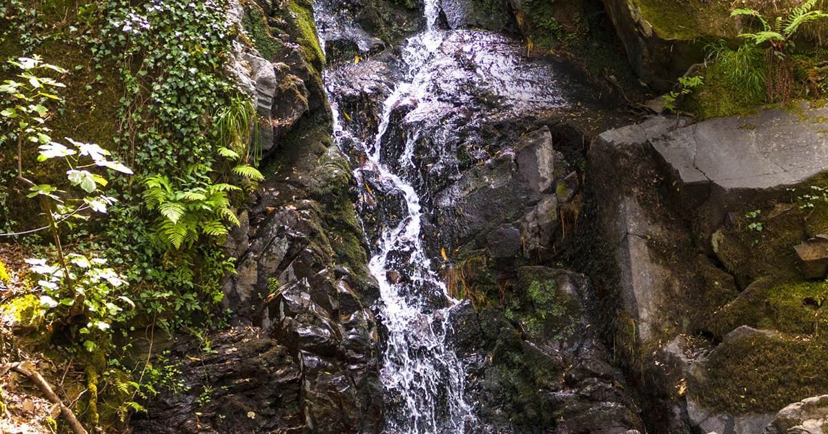 ¿Cómo beber agua mineral natural de manera más sostenible? ¿Cómo beber agua mineral natural de manera más sostenible?