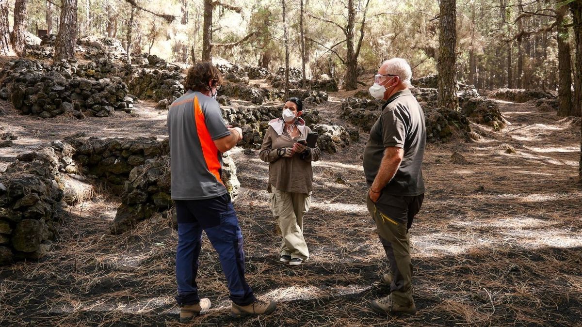 Trabajos de preservación del poblado etnográfico del Barranco de las Ovejas, en el municipio de El Paso. Trabajos de preservación del poblado etnográfico del Barranco de las Ovejas, en el municipio de El Paso.