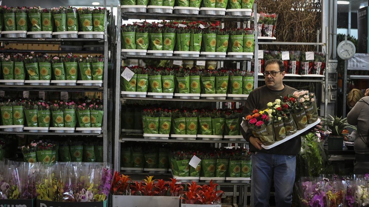 Un distribuidor de rosas de Mercabarna, desde donde se comercializa un tercio de las flores que se venden en Sant Jordi, este jueves.