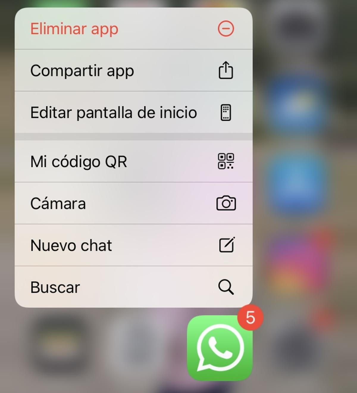 Captura de pantalla de los accesos que ofrece WhatsApp en Iphone