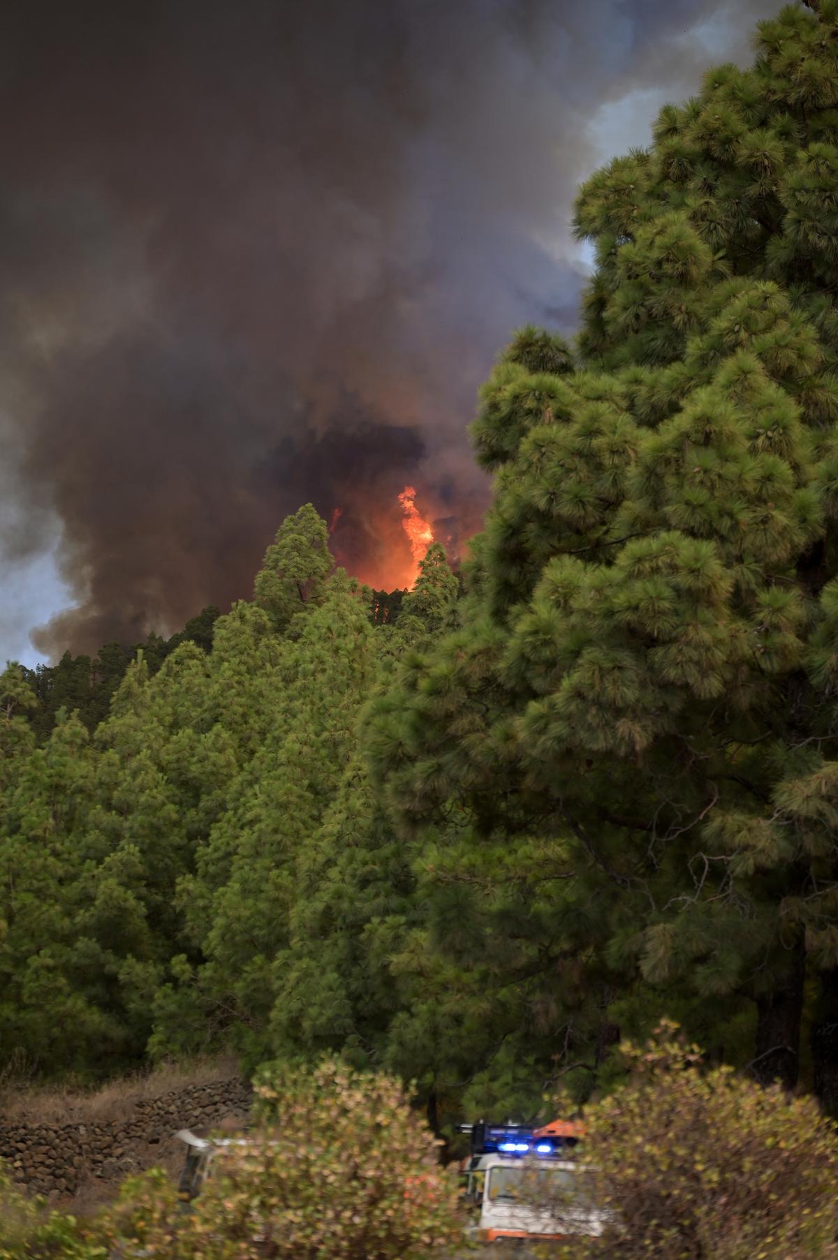 Un Incendio Forestal En Tenerife Obliga A Evacuar Varias Zonas Fotos 3417