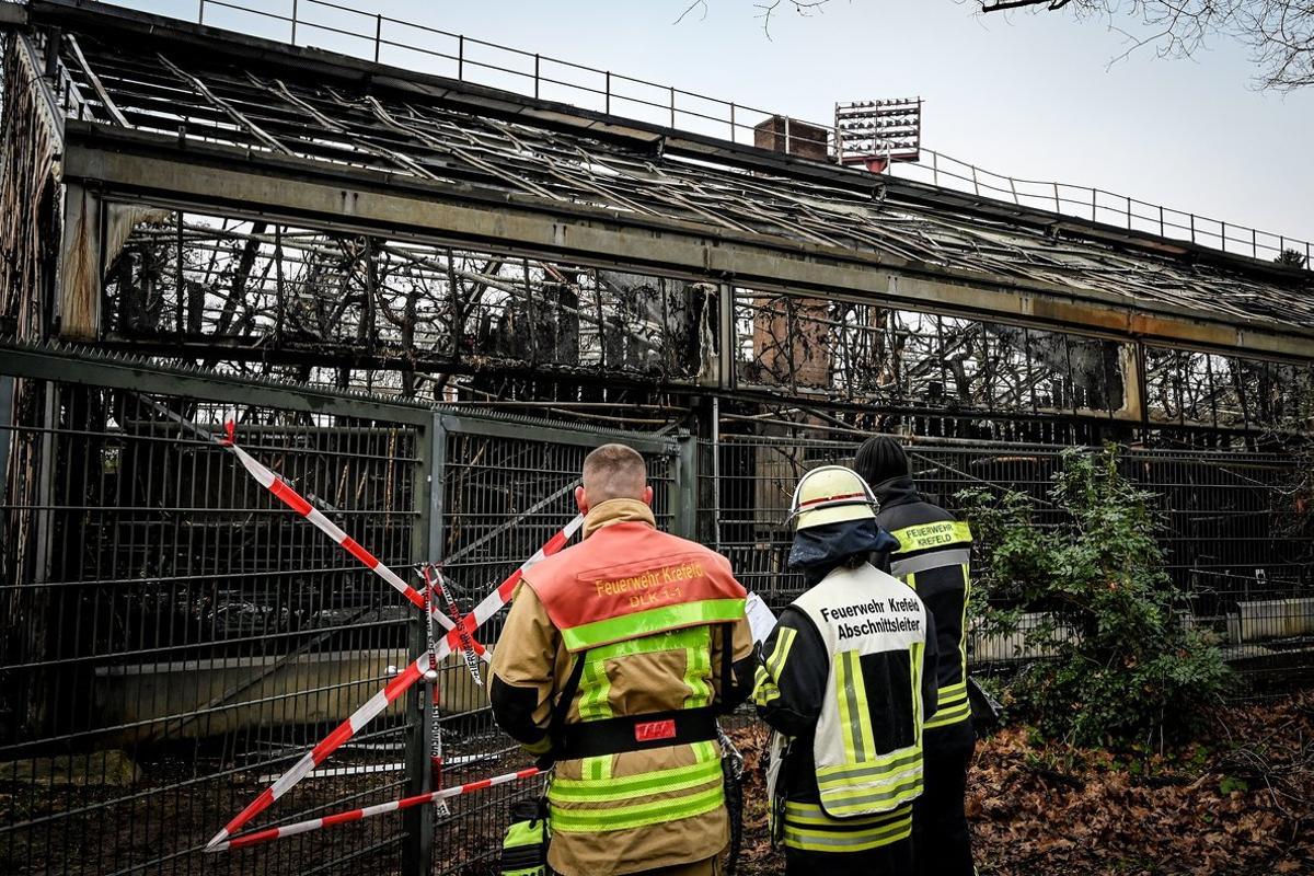 Bomberos en la zona de los monos quemada del zoo de Krefeld.