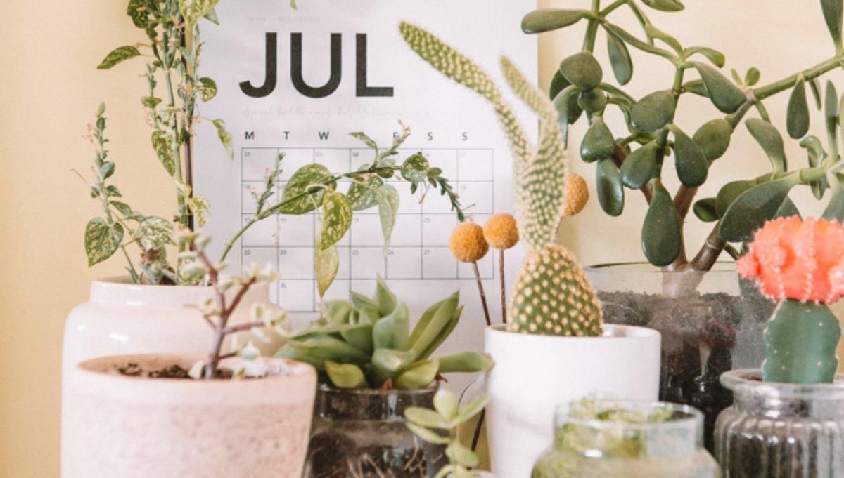 Agenda de julio para el emprendedor Agenda de julio para el emprendedor