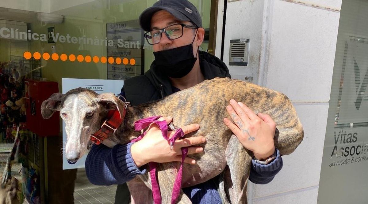 Nona se reencuentra con Pablo tras ocho días vagando por los túneles de Barcelona. Nona se reencuentra con Pablo tras ocho días vagando por los túneles de Barcelona.