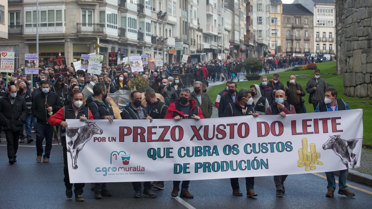 Más de 1.000 personas y 22 tractores participan en una tractorada en Lugo para exigir mejor precio de la leche el pasado 4 de noviembre.