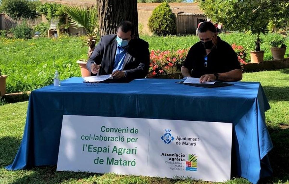 Acuerdo para el impulso y mejora del espacio agrario de las Cinc Sénies de Mataró. Acuerdo para el impulso y mejora del espacio agrario de las Cinc Sénies de Mataró.