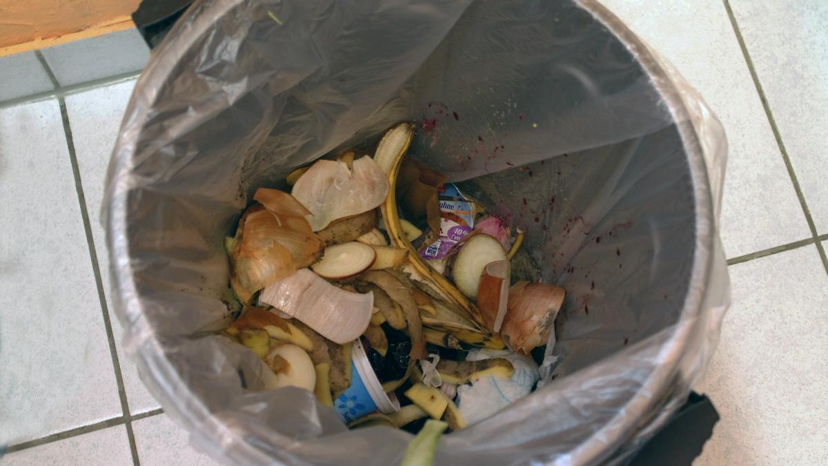 ¿Com treure la pudor del cubell d’escombraries de forma barata i senzilla?