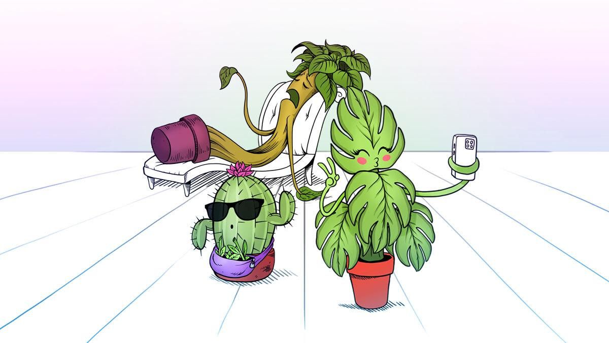 Influencers con muy buena planta Influencers con muy buena planta