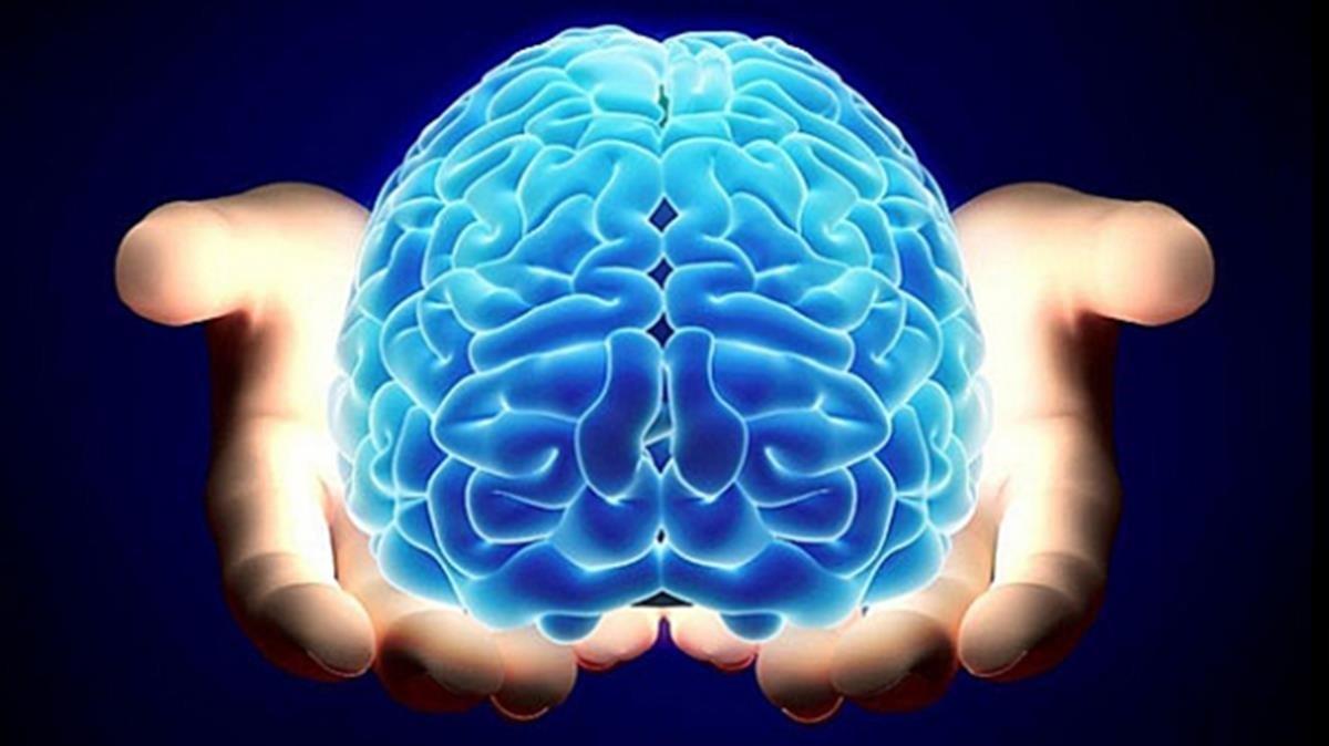 Científicos españoles demuestran que el cerebro humano genera nuevas neuronas hasta los 90 años