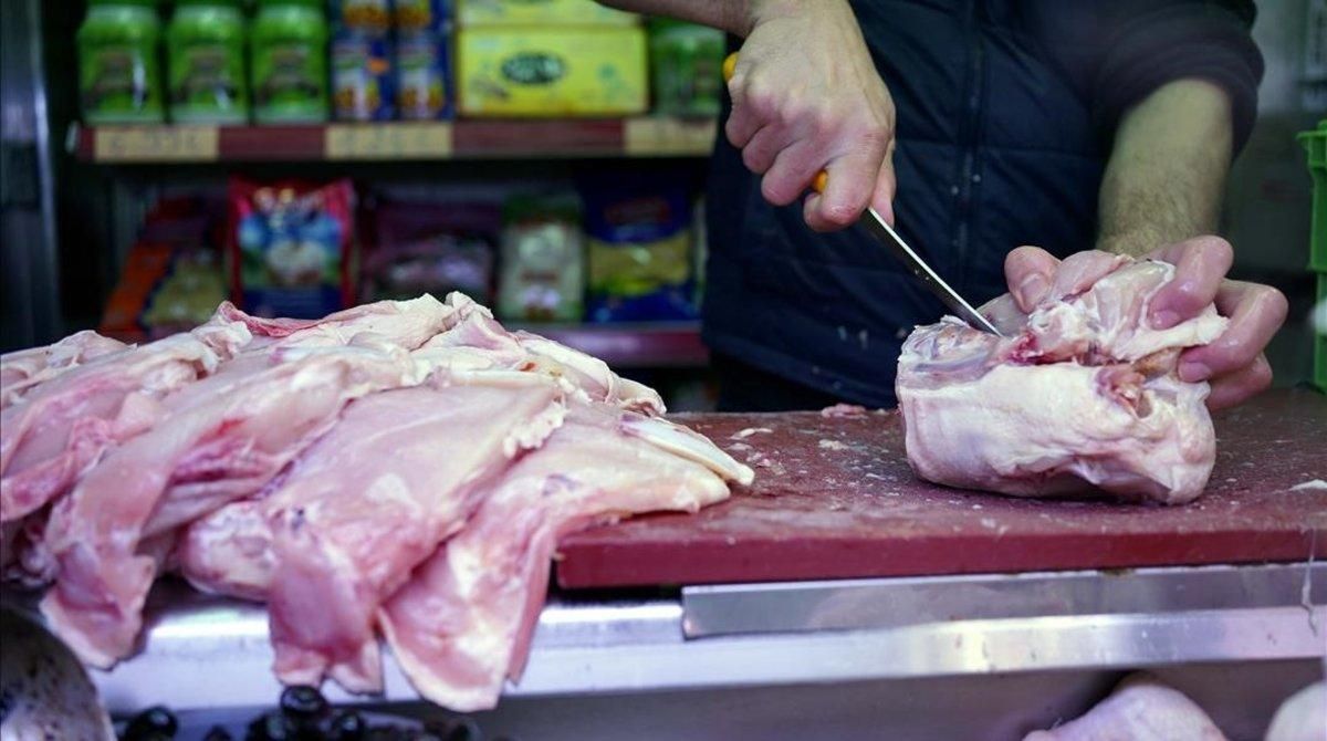 En las granjas no crían pollos con hormonas. En las granjas no crían pollos con hormonas.