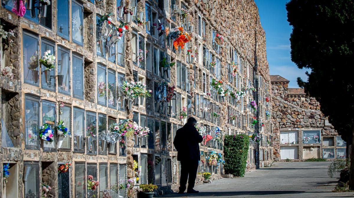 Un ala del Cementerio de Montjuïc, el pasado 1 de noviembre. Un ala del Cementerio de Montjuïc, el pasado 1 de noviembre.