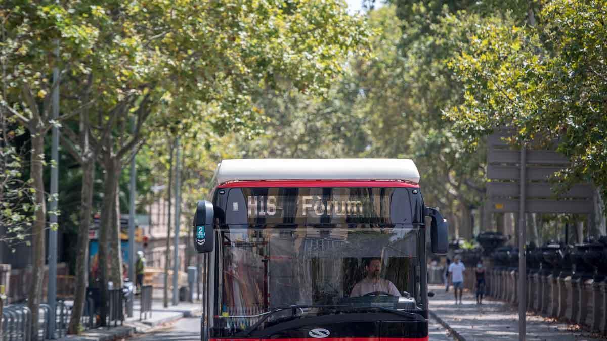 Un autobús H16 circulando por el paseo de Lluís Companys, en Barcelona.