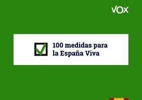Programa electoral de Vox en las elecciones generales 2019.