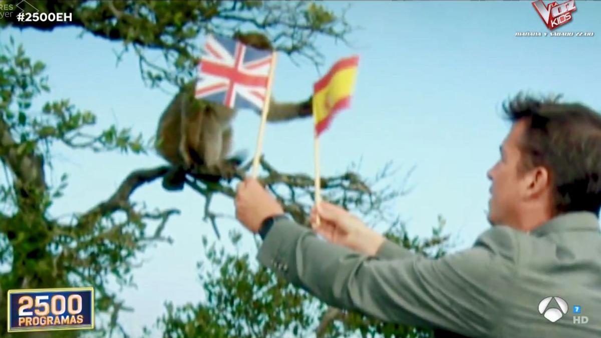 La crítica de Monegal: La bandera, la trampa, i el macaco gibraltareny