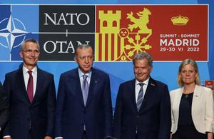 Turquía desbloquea el acceso de Finlandia y Suecia a la OTAN al obtener concesiones en terrorismo y armas