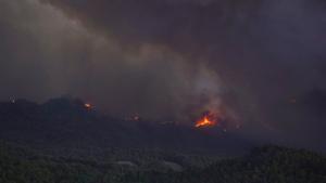 Incendios forestales: el alto precio del abandono de los bosques