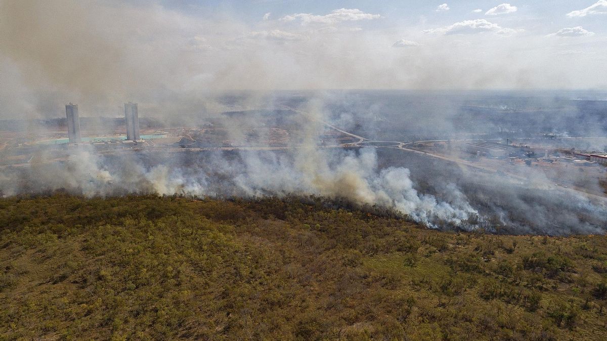 Vista general de un incendio forestal en las cercanías de la ciudad de Cuiabá en el estado de Mato Grosso (Brasil), en una fotografía de archivo. EFE/Rogerio Florentino Vista general de un incendio forestal en las cercanías de la ciudad de Cuiabá en el estado de Mato Grosso (Brasil), en una fotografía de archivo. EFE/Rogerio Florentino