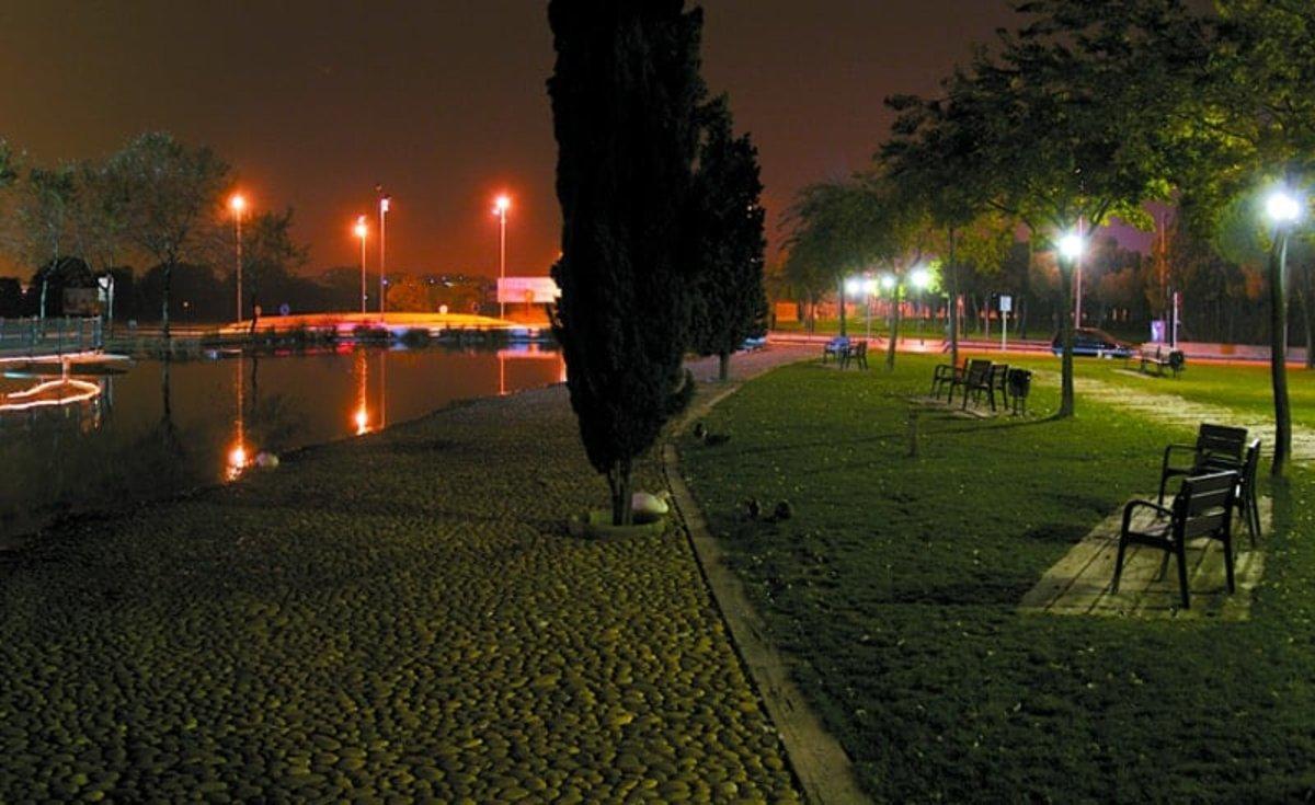 El pasado mes agosto aparecieron, en el lago de la avenida de Francesc Macià de Parets del Vallès, cerca de una docena de patos muertos.