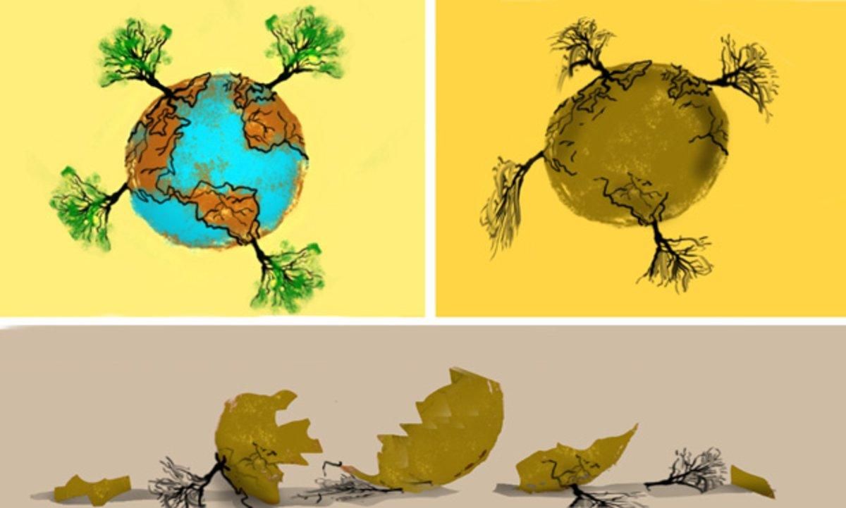 Cómo vigilamos todos los bosques del mundo desde Lleida Cómo vigilamos todos los bosques del mundo desde Lleida
