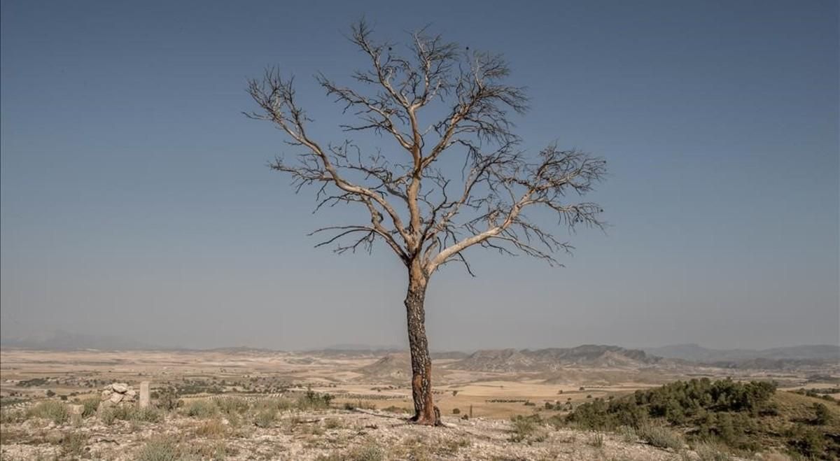 La Pau y el cambio climático La Pau y el cambio climático