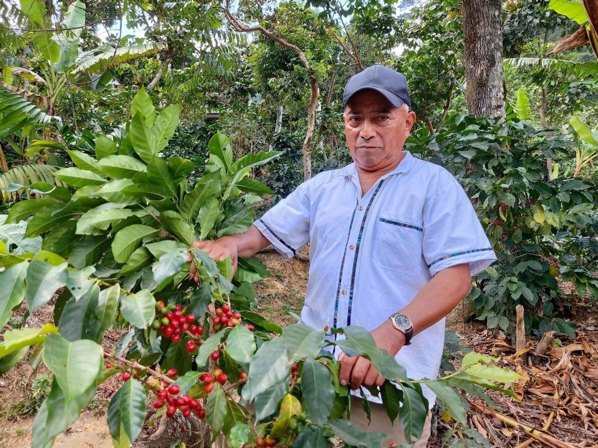 Los 27 adoptan la limitación de importaciones de productos como café, madera o soja si contribuyen a la deforestación