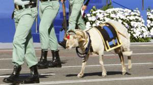 La cabra de la Legión, en el desfile del Día de la Hispanidad del 2007.