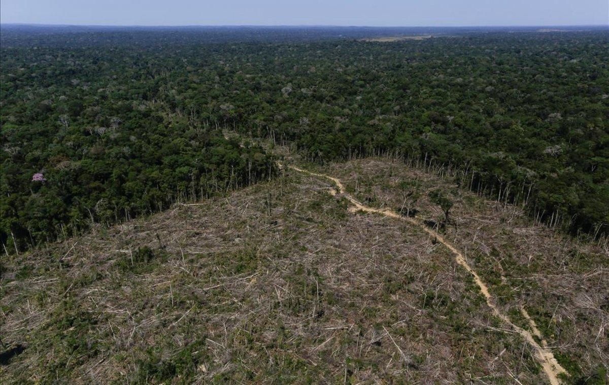 Zona deforestada de la Amazonia en Brasil. Zona deforestada de la Amazonia en Brasil.