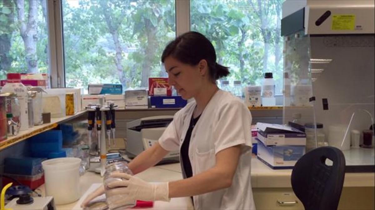 Maria Casadellà 8 Investigadora del laboratorio IrsiCaixa sobre el VIH.