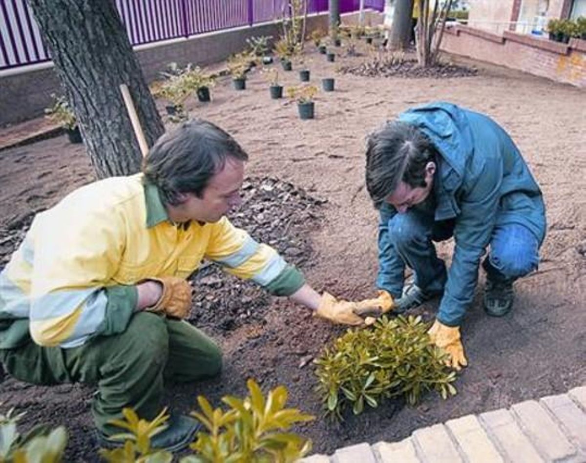 Un técnico alecciona, ayer, a un usuario en el parterre recuperado. Un técnico alecciona, ayer, a un usuario en el parterre recuperado.