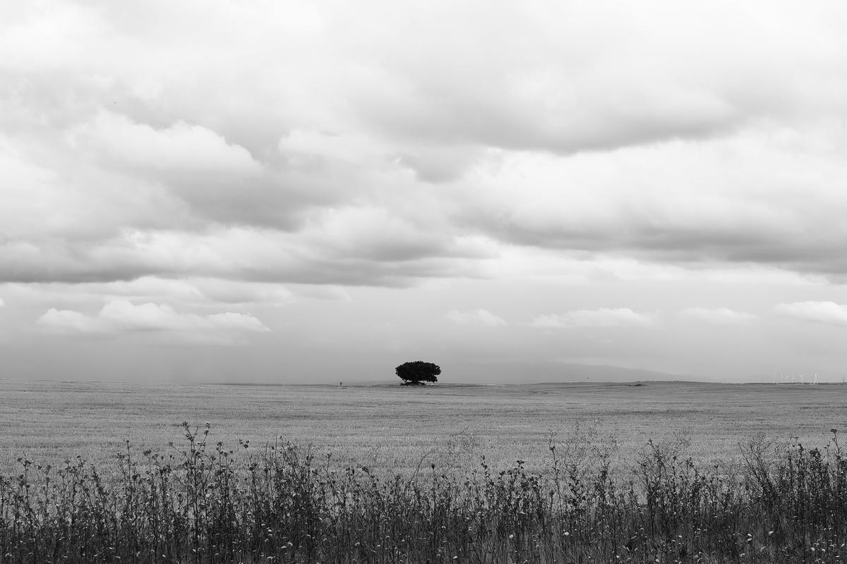 ’Passenger Tales’. Proyecto ’Contraste’. ’Passenger Tales’. Proyecto ’Contraste’.