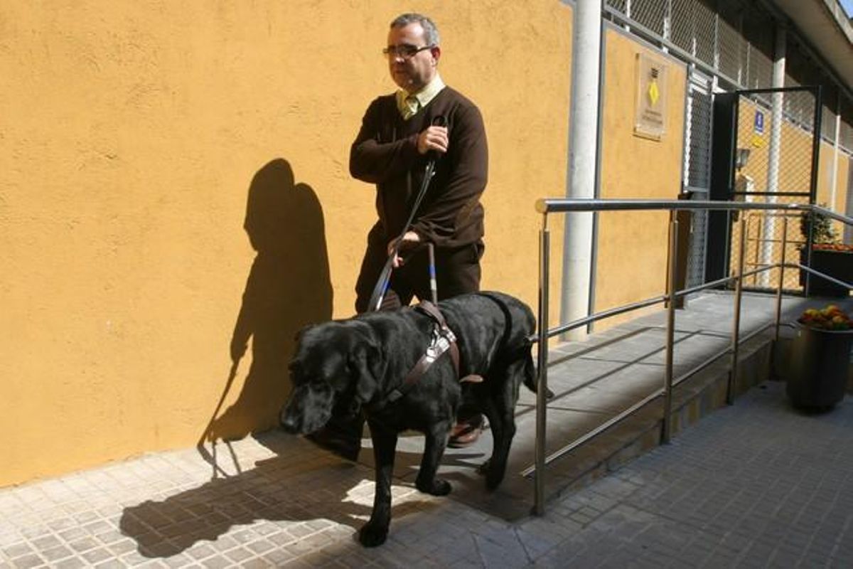 El diputado de CiU, Josep María Llop, con su perra guía Annabelle. El diputado de CiU, Josep María Llop, con su perra guía Annabelle.